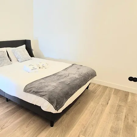 Fernandes Tomas 797 포르투